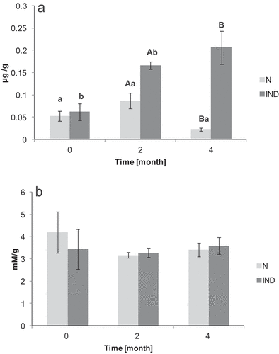 Figure 2. Amount of MDA (µg/g; panel A) and carbonyl (mM/g; panel B) in minced carp during the storage period (n = 6). An uppercase letters represent significant differences between N and IND treatments at the same time point (p ≤ .05). Lowercase letters represent differences between time points for the same treatment (p ≤ .05).