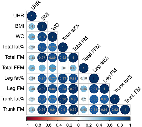 Figure 1 Spearman correlation analysis of UHR and fat distribution parameters.