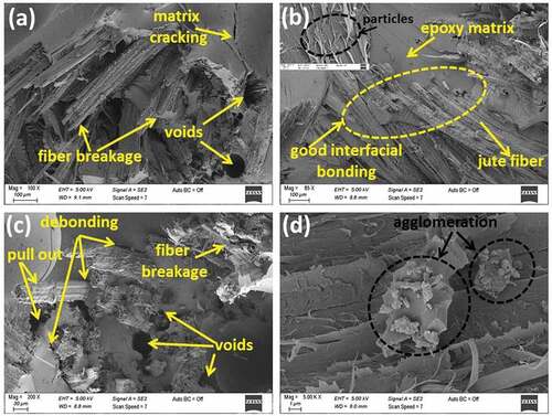 Figure 12. SEM images of the fracture surfaces of (a) neat jute fiber/epoxy composite, (b) 5 wt.% zinc borate jute fiber/epoxy composite (5ZB), and (c-d) 10 wt.% zinc borate jute fiber/epoxy composite (10ZB).