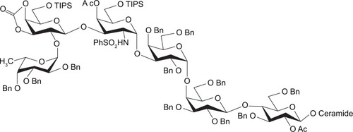 Figure 9 Protected antigen.