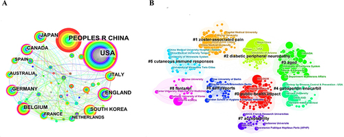 Figure 2 Visualization of the top 10 countries (A) and journals (B) in the literature contributors of PHN and VZV using Citespace according to different clusters.