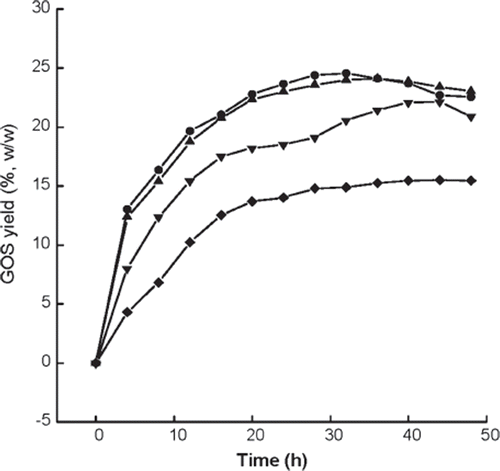 Figure 9. Effect of ratio of alginate beads to reaction solution on GOS yield versus time at pH 4.6 and 45°C. •, 1:1; ▴, 1:2; ▾, 1:5; ♦, 1:10.