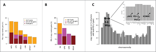 Figure 1. PD-L1 CNG in STS. (A) Percentages of focal gains, 9p gains, and chromosome 9 gains in different STS subtypes in the TCGA cohort. (B) Percentages of PD-L1 CNG in the independent high-grade sarcoma cohort. (C) Overview of PD-L1 co-amplified genes on chromosome 9p. A core region including 27 genes (length, 5.6 Mb; inset) was co-amplified in more than 80% of STS with focal PD-L1 CNG (TCGA cohort).
