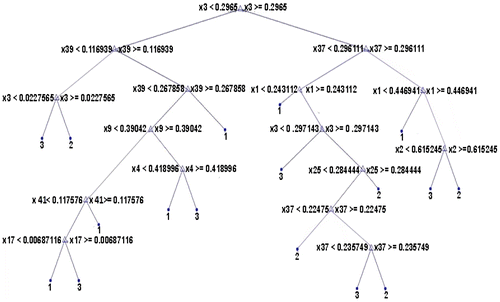 Figure 8. Optimal GLCM features using CART.