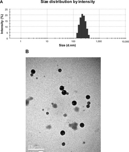 Figure 1 (A) Size distribution of Cur-BSA-NPs and (B) a transmission electron micrograph image of Cur-BSA-NPs.Abbreviation: Cur-BSA-NPs, curcumin-loaded albumin nanoparticles.