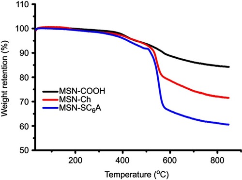 Figure S4 Thermogravimetric analysis of the samples: MSN-COOH, MSN-Ch, MSN-SC6A.Abbreviations: MSN, mesoporous silica nanoparticles; MSN-COOH, MSN modified by carboxyl; MSN-Ch, MSN conjugated with choline; MSN-SC6A, MSN conjugated with p-sulfonatocalix[6]arene.