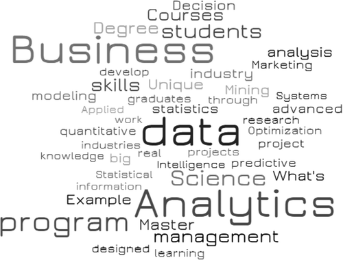 Figure 7. Word Cloud results from 12 Master’s in business analytics program descriptions.
