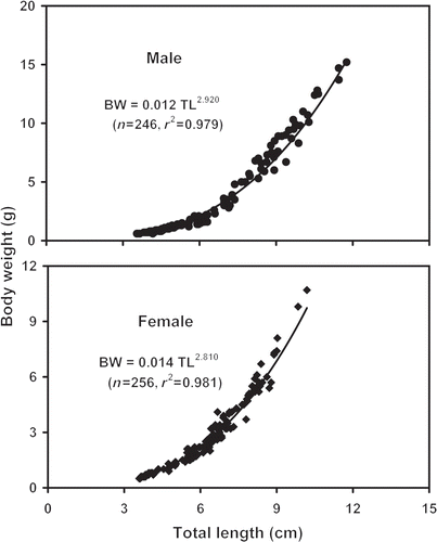Figure 3. Relationships between TL and BW of male and female M. malcolmsonii (Milne-Edwards, 1844) in the Ganges River, northwestern Bangladesh.