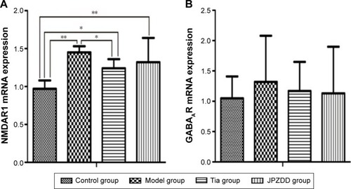 Figure 8 Effect of JPZDD on mRNA expressions of NMDAR1 and GABAAR in TS rats. Notes: (A) NMDAR1 mRNA expression. (B) GABAAR mRNA expression. *P<0.05. **P<0.01.