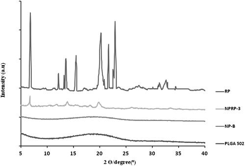 Figure 1. X-ray scattered intensity as a function of the diffraction angle 2θ. Intensity scaling is arbitrarily applied to the curves. Curves obtained for polymer (PLGA 502), blank nanoparticles (NP-B), RP-loaded nanoparticles (NPRP-3) and ropinirole (RP).