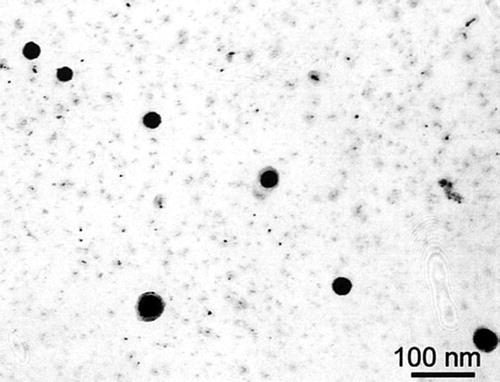 Figure 18. Coarse rounded particles which probably nucleated in austenite, and a finer dispersion, nucleated in ferrite. Li et al. [Citation123].