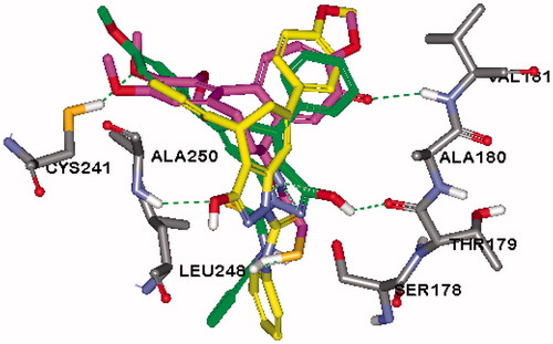 Figure 11. Overlay of the top docking poses of R (green), S (yellow) isomers of 5e and DAMA-colchicine (magenta) in the active site of tubulin (PDB: 1SA0).
