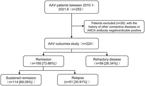 Figure 1. Flowchart for the study inclusion/exclusion process and analysis of outcomes. AAV: ANCA-associated vasculitis; ANCA: antineutrophil cytoplasmic antibodies.