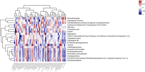 Figure 12 Correlation between metabolites and metagenomic analysis between group B and group C. *P < 0.05; **P < 0.01; ***P < 0.001.