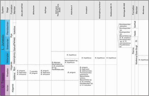 Figure 2. Early Mesozoic megaspore assemblages recorded in this study from Skåne (Sweden) and Bornholm (Denmark). G. Galgeløkke Member