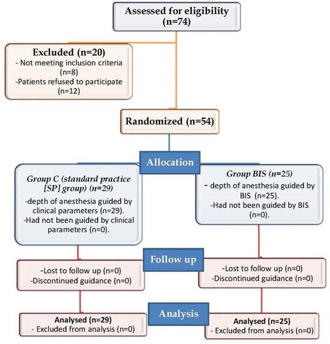 Figure 1. Concert flowchart