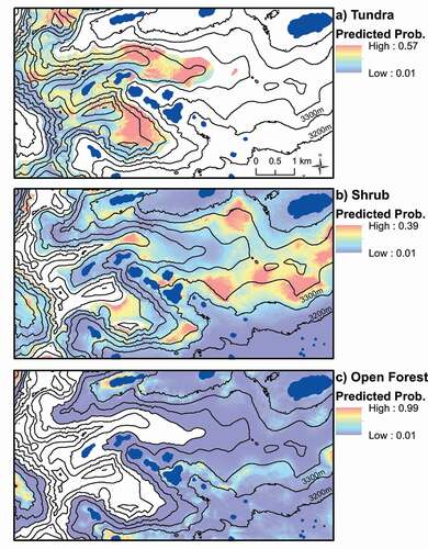 Figure 4. Predicted probabilities of transitions to tundra (> 3550m), shrub (< 3760m), and open forest (< 3600m) from 1972 to 2008. A 0.1 means there is a 10% chance of that point changing to the vegetation type of the map. Note the different ranges of probabilities. Values are calculated using the intercept and slope coefficients from the best-fit logistic regression model for each (Table 2). Blue areas are lakes