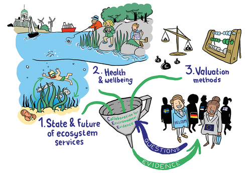 Figure 4. Example of the illustrations used to describe the project and it's methodological approach.