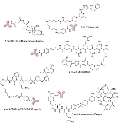 Figure 1. Structures of antibody-drug conjugates.