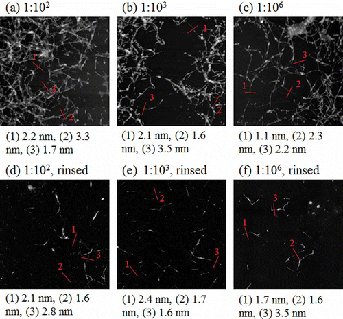 Figure 3. AFM images of dialyzed SDS-SWNT hybrids on AP-mica. (a, d) The volume ratio of dispersion to water in dialysis was 1:102. (b, e) The volume ratio of dispersion to water in dialysis was 1:103. (c, f) The volume ratio of dispersion to water in dialysis was 1:106. Cases (a) to (c) and (d) to (f) were not rinsed and rinsed with water before drying, respectively. Lines in figures indicate cross sections of SDS-SWNT hybrids. Scan size of the images was 2 μm × 2 μm.