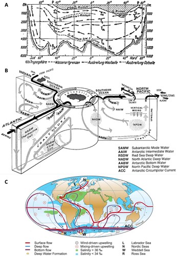 Fig. 2 (a) Schematic of the Atlantic meridional overturning circulation (from Wust Citation1936 ). (b) Schematic of the vertical structure of global thermohaline circulation (from Gordon, Citation1991). (c) Schematic of the horizontal structure of global thermohaline circulation (from Rahmstorf, Citation2006).