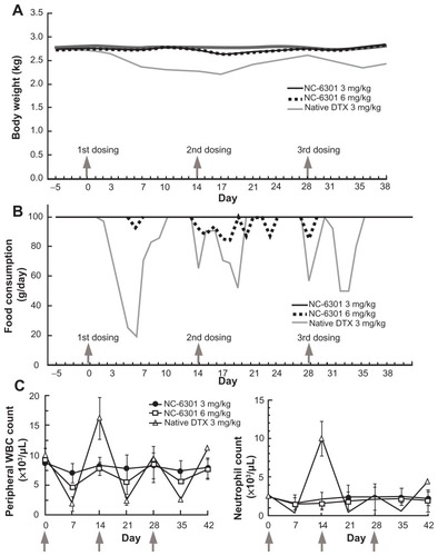 Figure 5 Toxicological tests in cynomolgus monkeys treated with intravenously administered NC-6301. Male cynomolgus monkeys received NC-6301 intravenously three times with a 2-week interval (indicated by arrows) at either 3 or 6 mg/kg. Native docetaxel (DTX) was administered similarly as a control at 3 mg/kg. (A) Average body weight change; (B) average change in food consumption; (C) changes in number of white blood cells (WBCs) and number of neutrophils.Notes: Data points indicate mean measurements for three monkeys; bars indicate standard deviation.