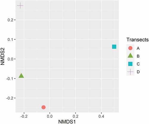 Figure 3. Vegetation composition between transects using the incidence of species and their percentage of coverage through a non-metric multidimensional scaling analysis (NMDS) (S = 0.11; P = 0.001).