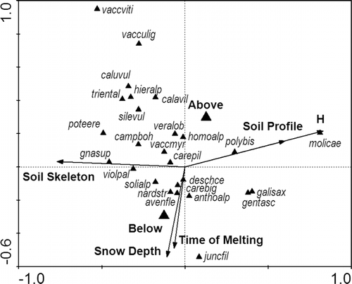 FIGURE 6.  Ordination diagram showing the results of the CCA analysis (analysis no. 1 in Table 2). Environmental variables: Soil Profile—depth of the soil profile; H—litter horizons; Soil Skeleton—share of gravel and stones in %; Above, Below—position of the relevé in relation to the central part of the snowbed; Snow Depth—snow depth in meters; Time of Melting—melting rate recorded in week intervals. Species abbreviations: anthoalp—Anthoxanthum alpinum, avenfle—Avenella flexuosa, calavil—Calamagrostis villosa, caluvul—Calluna vulgaris, carebig—Carex bigelowii, carepil—Carex pilulifera, campboh—Campanula bohemica, deschce—Deschampsia cespitosa, galisax—Galium saxatile, gentasc—Gentiana asclepiadea, gnasup—Gnaphalium supinum, hieralp—Hieracium alpinum, homoalp—Homogyne alpina, juncfil—Juncus filiformis, molicae—Molinia caerulea, nardstr—Nardus stricta, polybis—Polygonum bistorta (syn. Bistorta major), poteere—Potentilla erecta, silevul—Silene vulgaris, solialp—Solidago virgaurea subsp. alpestris, triental—Trientalis europaea, vacculig—Vaccinium uliginosum, vaccmyr—Vaccinium myrtillus, vaccviti—Vaccinium vitis-idaea, veralob—Veratrum album subsp. lobelianum, violpal—Viola palustris