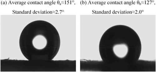 Figure 8. The contact angle of water droplets on the specimens. (a) contact angle on the wing surface with scales; (b) contact angle on the wing surface without scales.