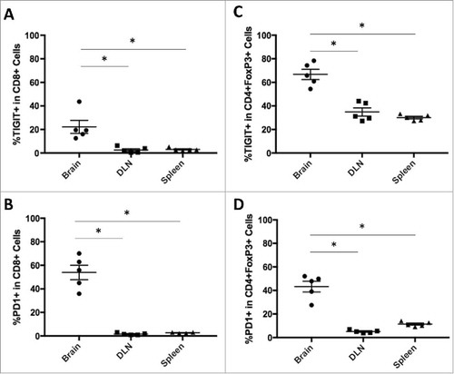 Figure 2. TIGIT and PD-1 expression is upregulated in brain tumor infiltrating lymphocytes. A. Brain CD8+ cells had significantly higher expression of TIGIT (p = 0.0015) and B. PD-1 (p = 0.0001) compared to CD8+ cells in the CLN and spleen. C. CD4+FoxP3+ cells in the brain had similarly elevated expression of TIGIT (p < 0.0001) and D. PD-1 (p < 0.0001) compared to those in the CLN and spleen.