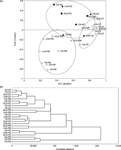 Figure 2  Principal component analysis (PCA) and cluster analysis using the 18S rRNA gene denaturing gradient gel electrophoresis profiles. (a) PCA plot bounded by each soil. Abbreviated names are shown near each plot. The different treatments are represented as follows: white, chemical fertilizer application (CF); black, rice husk and cow manure application (HC); gray, pig manure application (PM). The different soil types are represented as follows: ○, Cumulic Andosol (CA); ⋄, Low-humic Andosol (LHA); ▵, Yellow Soil (YS); □, Gray Lowland Soil (GLS). (b) A dendrogram using Ward's clustering method.