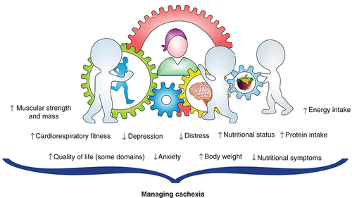 Figure 2. Multidisciplinary intervention as strategy to manage cancer cachexia.