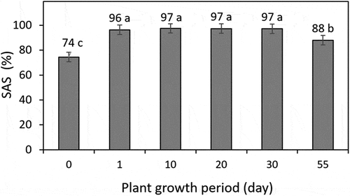 Figure 2. Soil aggregate stability (SAS) at different days of the plant growth period. Different lowercase letters indicate significant (p < 0.05) differences using LSD and error bars indicate ± standard deviation