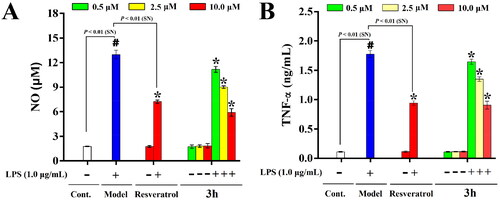 Figure 8. The inhibitory effects of resveratrol and 3h on NO release (A) and TNF-α production (B) in LPS-activated BV-2 microglia cells. The data are expressed as the mean ± SD from three independent experiments. #p < 0.05 vs. control group; *p < 0.05 vs. model group.