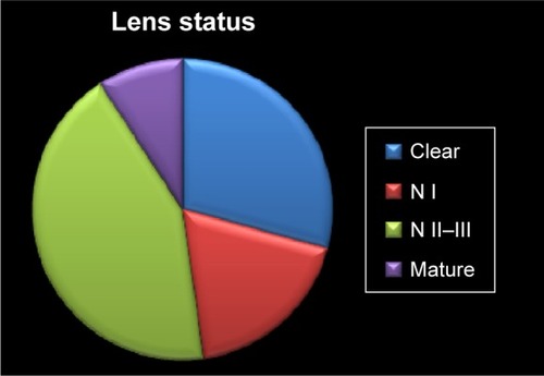 Figure 3 Baseline lens status.