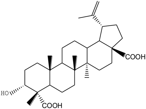 Fig. 1. Chemical structures of 3α-hydroxy-lup-20(29)-en-23, 28-dioic acid (HLEDA).