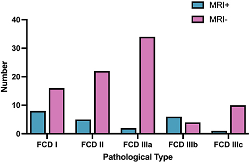 Figure 1 MRI results of different pathological types of FCD.