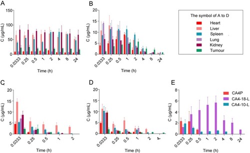 Figure 8 Concentration of CA4P, CA4-10-L, and CA4-18-L in tissues of S180 tumor-bearing mice after intravenous administration (n=3). (A) Concentration of CA4P. (B) Concentration of CA4 converted from CA4-18-L. (C) Concentration of CA4 converted from CA4P. (D) Concentration of CA4 converted from CA4-10-L. (E) Concentration of CA4 converted from CA4P, CA4-18-L, and CA4-10-L in tumor.Abbreviations: CA4P, combretastatin A4 phosphate; CA4-10-L, combretastatin A4-10 liposomes; CA4-18-L, combretastatin A4-18 liposomes.