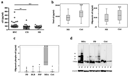 Figure 2. Clinical evidence supporting altered αS evolvability in disorders with abnormal OL function. (a), Levels of CSF αS in MS patients (n = 37) and in patients with clinically isolated syndrome (CIS, n = 36) were significantly decreased compared with those in benign neurological conditions (BNC, n = 38). **p< 0.01, ***p< 0.001. (b), Levels of αS and oligomeric αS in serum measured by ELISA were significantly lower in MS patients (n = 60) compared to the healthy control group (n = 60). ***p< 0.001. (c), Box-whisker plots revealed that oligomeric phosphorylated αS levels were elevated in post-mortem CSF derived from MSA (n = 8) and distinguished MSA from the other α-synucleinopathies, including PD (n = 38), DLB (n = 15), PSP (n = 12) and controls (n = 16), ***p< 0.001. (d), Detection of αS oligomers by immunoblotting. The sarkosyl-insoluble fractions of brain sample homogenates were analysed, and αS oligomers (asterisks) were visualized in fractions from MSA, PD and control (Ctrl) patients’ brain samples. F: frontal cortex, P: parietal cortex, T: temporal cortex. β-actin: loading control. Reprinted from Antonelou et al [Citation21]. (a), Bilge et al [Citation24]. (b), Foulds et al [Citation22]. (c) and Sekiya et al [Citation30]. (d) with permission.