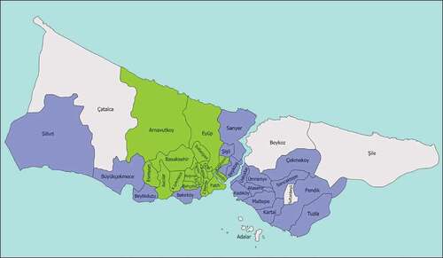 Figure 2. Map of Istanbul: visual representation of treatment and control districts.