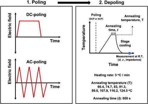 Figure 1. Schematic illustrations of the poling and depoling procedures in the current work.