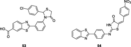 Figure 33. Oxothiazolidine based benzothiazole derivative 53 and thiazolidine benzothiazole derivative 54.