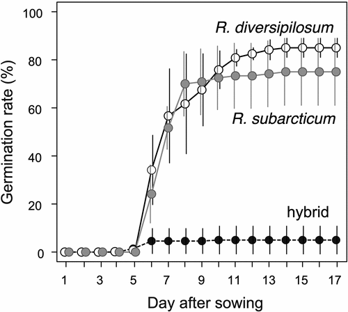 Figure 7. Germination progress after seed sowing under 25°C condition. Open circles connected with solid line indicate Rhododendron diversipilosum seeds, gray circles with solid line indicate R. subarcticum seeds, and black circles with dashed line indicate hybrid seeds. Mean values of four replicates with standard errors are shown.