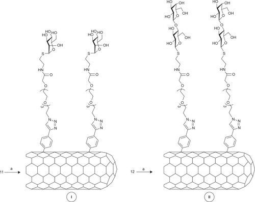 Figure 3 Synthetic pathway of derivatives I and II.Notes: a refers to I: P2-SWCNT, oDCB/DMF; II: amyl nitrite, 65°C, 24 hours.Abbreviations: SWCNT, single-walled carbon nanotube; oDCB, orthodichlorobenzene; DMF, dimethylformamide.