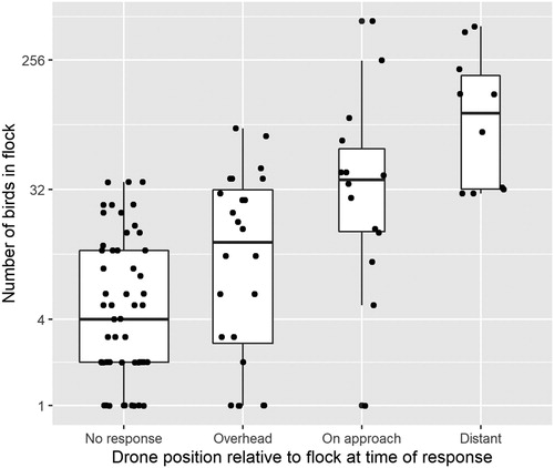 Figure 3. Box and whisker plot of drone position relative to approached waterbird flock at time of response and flock size. The drone position categories are Overhead: drone within 25 m of flock; On approach: drone 25–100 m from flock; and Distant: drone more than 100 m from flock. The boxes represent the second and third quartiles, the bold line represents the median value, and the whiskers represent the first and fourth quartiles. The width of each box is proportional to the number of records in that category, and each individual trial is represented by a dot (with a jitter effect to make overlapping points discernible). The y-axis scale is logged.