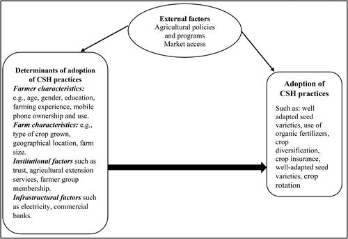 Figure 2. A conceptual framework on the potential determinants of adoption of CSH practices.