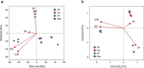 Figure 5. Redundancy analysis (RDA) between bacterial community and soil properties (a) as well as canonical correspondence analysis (CCA) between fungal community and soil properties (b). EC, electrical conductivity; TK, total potassium; TP, total phosphorus; C/N ratio, total carbon/total nitrogen ratio.