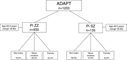Figure 2. The basic demographics for the 1,203 patients who have undergone at least one baseline assessment since the start of the registry in 1996 is shown just for the PiZZ and SZ genotypes.