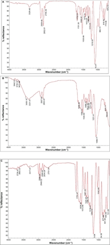 Figure 2 Spectra of attenuated total reflection Fourier transform infrared of normal polyurethane (A), polyurethane modified by oxygen plasma (B), and polyurethane modified by argon plasma (C).