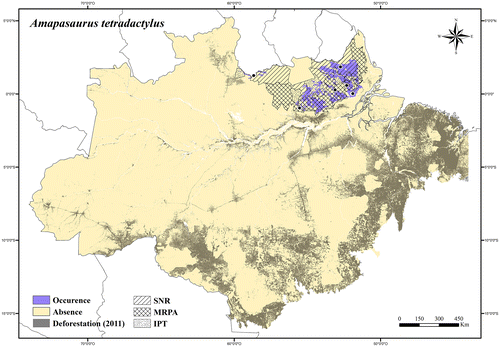 Figure 21. Occurrence area and records of Amapasaurus tetradactylus in the Brazilian Amazonia, showing the overlap with protected and deforested areas.